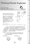 Photosynthesis
