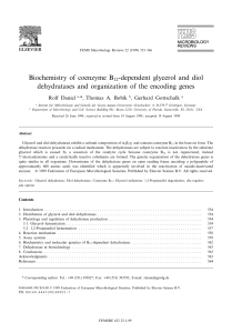 Biochemistry of coenzyme B12‐dependent glycerol and diol