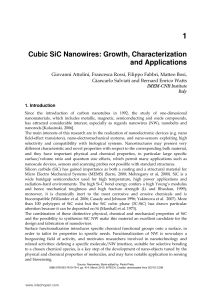Cubic SiC Nanowires: Growth, Characterization and