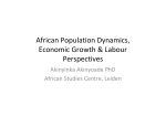 African Population Dynamics Economic Growth Labour