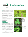 Touch-Me-Nots - Alabama Cooperative Extension System