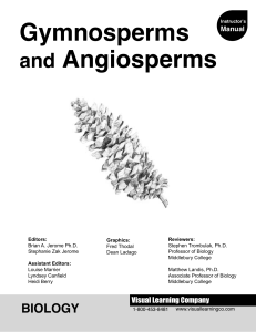 Gymnosperms and Guide - Visual Learning Systems