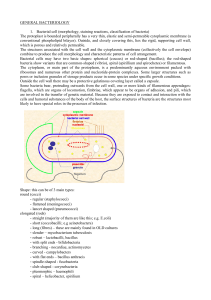 GENERAL BACTERIOLOGY 1. Bacterial cell