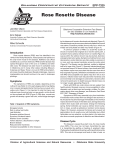 Rose Rosette Disease - OSU Fact Sheets