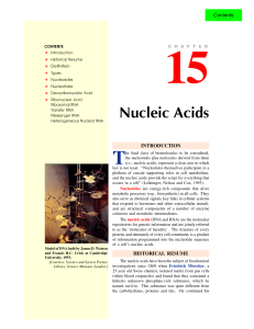15. nucleic acids