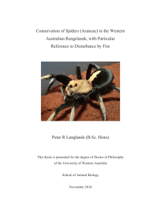Conservation of Spiders (Araneae) in the Western Australian