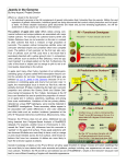 Jewels in the Genome