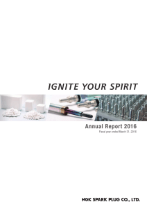 Annual Report 2016 2.9 MB