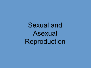 Sexual and Asexual Reproduction