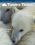 Tundra Times - Polar Bears International