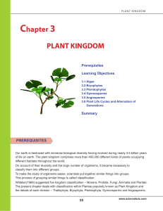 PLANT KINGDOM Chapter 3