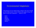Environmental Adaptations