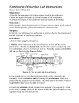 Earthworm Dissection Lab Instructions