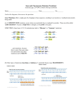 Genetic Mutation Worksheet