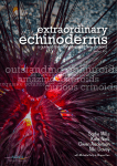 Extraordinary Echinoderms