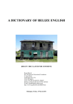 Belizean English dictionary