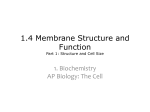 1.4 Membrane Structure and Function