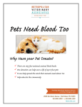 Information packet for the website - Metropolitan Veterinary Associates