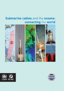 Submarine cables and the oceans - International Cable Protection