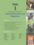 Animal Nutrition and Digestion