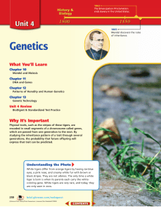 Chapter 10: Mendel and Meiosis