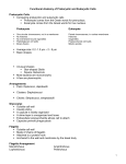 Functional Anatomy of Prokaryotic and Eukaryotic Cells