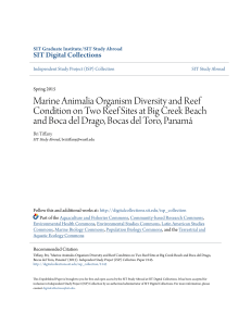 Marine Animalia Organism Diversity and Reef Condition on Two