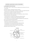 1 CHAPTER 2: BLOOD CIRCULATION AND