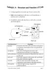 Living Cells Notes