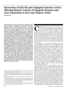 Interaction of Fish Oil and Conjugated Linoleic Acid in