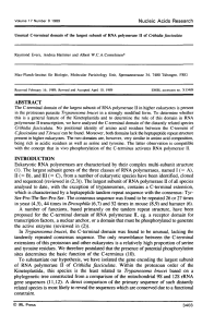 Unusual C-terminal domain of the largest subunit of RNA