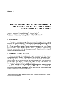 DYNAMICS OF THE CELL MEMBRANE OBSERVED UNDER THE