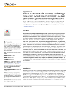 Effects upon metabolic pathways and energy production by Sb(III
