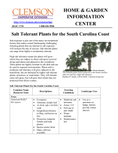 Salt Tolerant Plants for the South Carolina Coast