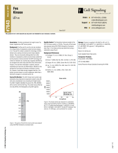 Fes Kinase - Cell Signaling Technology