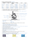 BACTERIA AND VIRUS REVIEW SHEET ANSWER KEY 1. In the