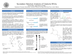 Secondary Structure Analysis of RNAs