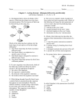 Chapter 3 - TeacherWeb