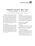 Plant Diseases - Impatiens Necrotic Spot Virus