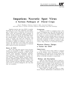 Plant Diseases - Impatiens Necrotic Spot Virus