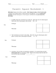 Punnett Square Worksheet 1