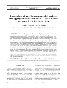Comparison of free-living, suspended particle, and aggregate
