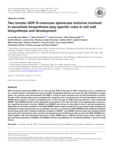 Two tomato GDP-D-mannose epimerase isoforms involve in