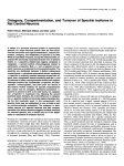 Ontogeny, Compartmentation, and Turnover of Spectrin lsoforms in