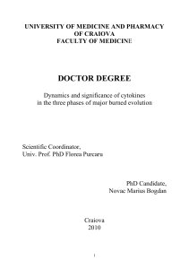 doctor degree