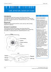 Introduction Resources Answers to questions