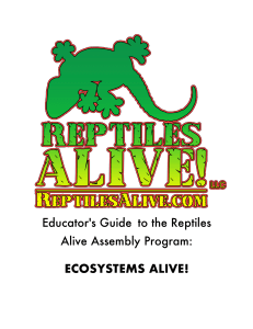 Teacher`s Guide - Reptiles Alive