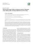 Electron Microscopic Studies of Ilmenite from the Chhatrapur Coast