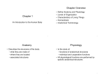 Chapter 1 Chapter Overview Anatomy Physiology