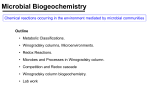 Microbial Biogeochemistry